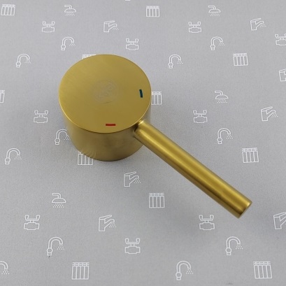 892-882-31 Ручка до зміш., MOZA, brushed gold
